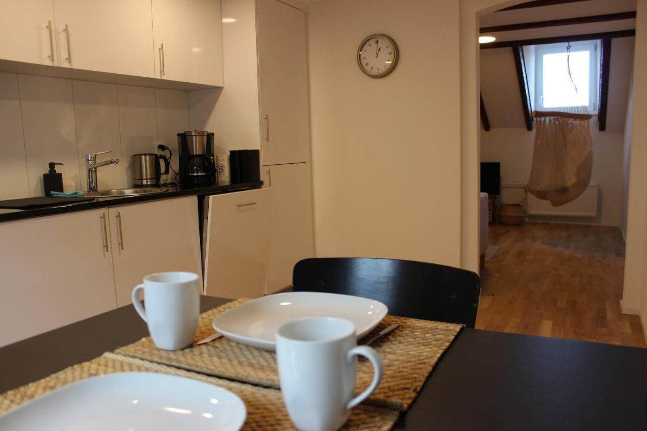Kernsanierte Nahe Bahnhof Und Zentrum Apartment St. Gallen